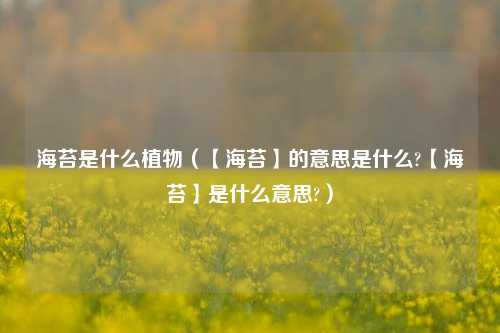 海苔是什么植物（【海苔】的意思是什么?【海苔】是什么意思?）