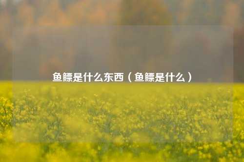 鱼鳔是什么东西（鱼鳔是什么）