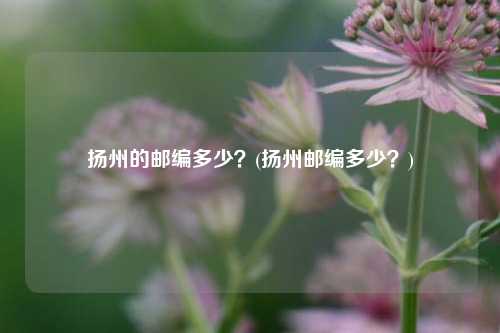 扬州的邮编多少？(扬州邮编多少？)