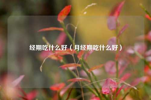 经期吃什么好（月经期吃什么好）