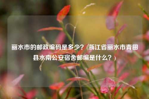 丽水市的邮政编码是多少？(浙江省丽水市青田县水南公安宿舍邮编是什么？)