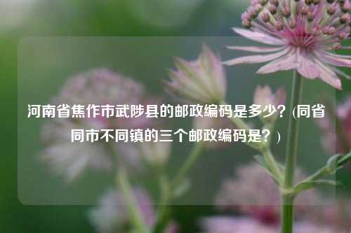 河南省焦作市武陟县的邮政编码是多少？(同省同市不同镇的三个邮政编码是？)