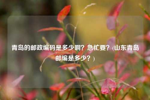 青岛的邮政编码是多少啊？急忙要？(山东青岛邮编是多少？)