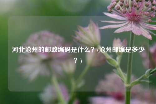 河北沧州的邮政编码是什么？(沧州邮编是多少？)