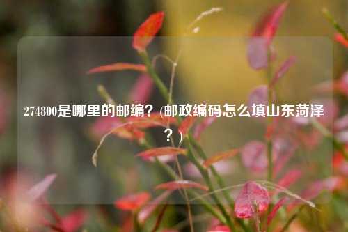 274800是哪里的邮编？(邮政编码怎么填山东菏泽？)