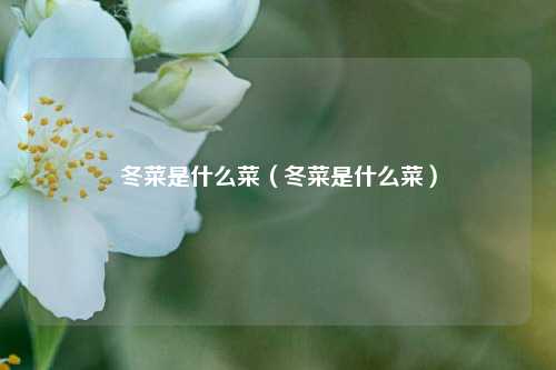 冬菜是什么菜（冬菜是什么菜）