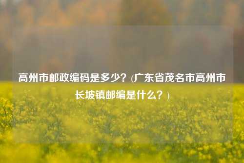 高州市邮政编码是多少？(广东省茂名市高州市长坡镇邮编是什么？)