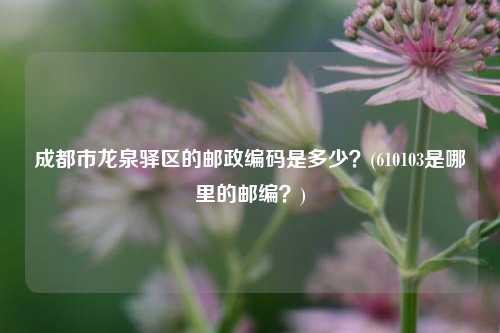 成都市龙泉驿区的邮政编码是多少？(610103是哪里的邮编？)