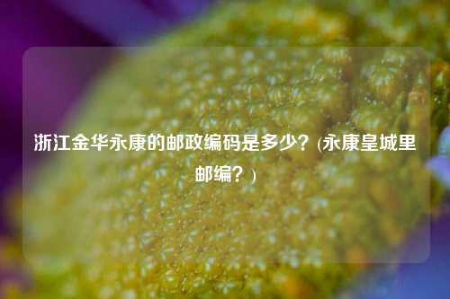 浙江金华永康的邮政编码是多少？(永康皇城里邮编？)