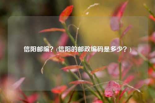 信阳邮编？(信阳的邮政编码是多少？)