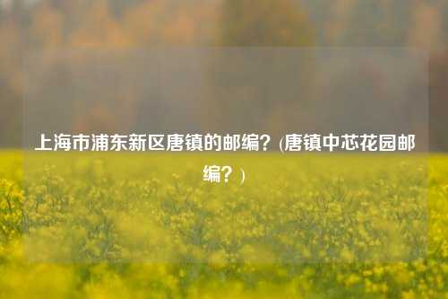 上海市浦东新区唐镇的邮编？(唐镇中芯花园邮编？)