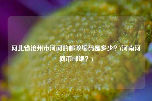 河北省沧州市河间的邮政编码是多少？(河南河间市邮编？)