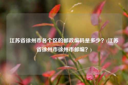 江苏省徐州市各个区的邮政编码是多少？(江苏省徐州市徐州市邮编？)