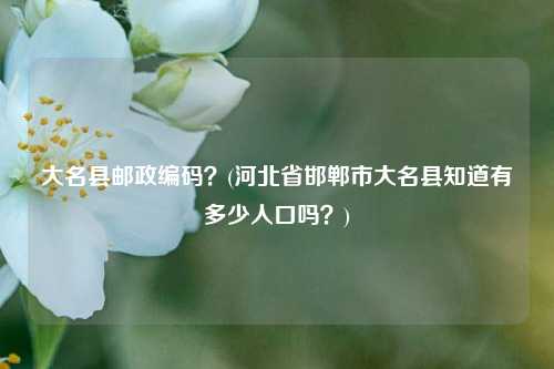 大名县邮政编码？(河北省邯郸市大名县知道有多少人口吗？)