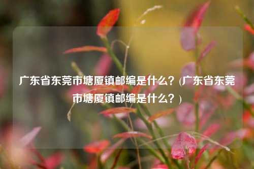 广东省东莞市塘厦镇邮编是什么？(广东省东莞市塘厦镇邮编是什么？)