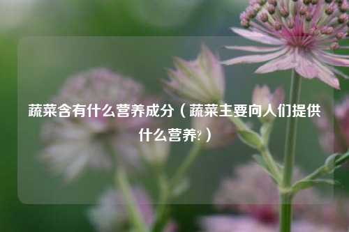 蔬菜含有什么营养成分（蔬菜主要向人们提供什么营养?）