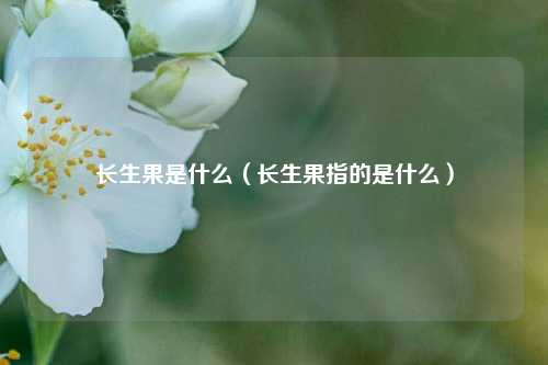 长生果是什么（长生果指的是什么）