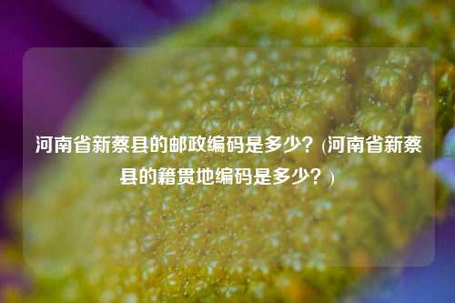 河南省新蔡县的邮政编码是多少？(河南省新蔡县的籍贯地编码是多少？)