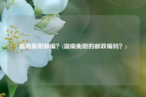 湖南衡阳邮编？(湖南衡阳的邮政编码？)