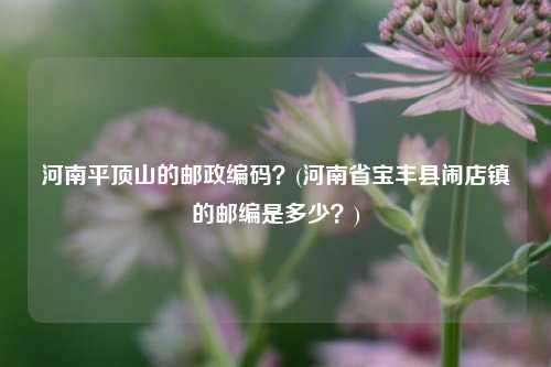 河南平顶山的邮政编码？(河南省宝丰县闹店镇的邮编是多少？)