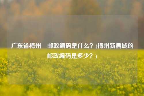 广东省梅州巿邮政编码是什么？(梅州新县城的邮政编码是多少？)