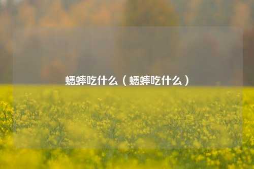 蟋蟀吃什么（蟋蟀吃什么）