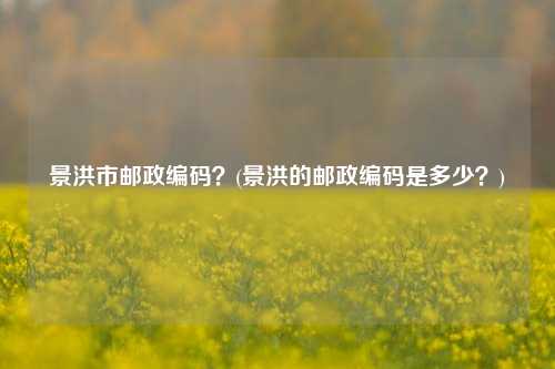 景洪市邮政编码？(景洪的邮政编码是多少？)