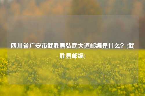 四川省广安市武胜县弘武大道邮编是什么？(武胜县邮编)