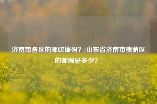 济南市各区的邮政编码？(山东省济南市槐荫区的邮编是多少？)