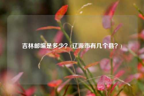 吉林邮编是多少？(辽源市有几个县？)