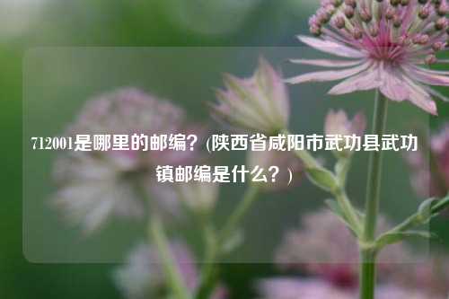 712001是哪里的邮编？(陕西省咸阳市武功县武功镇邮编是什么？)