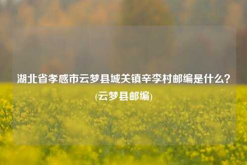 湖北省孝感市云梦县城关镇辛李村邮编是什么？(云梦县邮编)