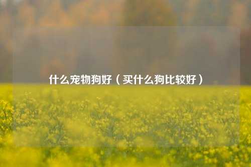 什么宠物狗好（买什么狗比较好）