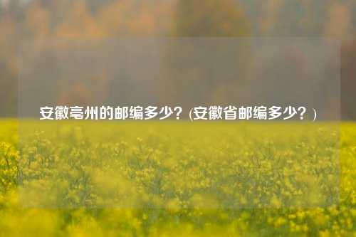 安徽亳州的邮编多少？(安徽省邮编多少？)