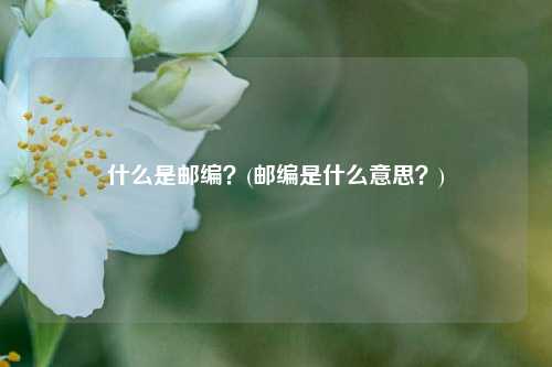 什么是邮编？(邮编是什么意思？)