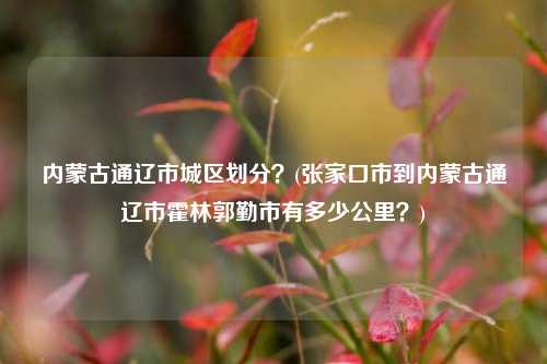 内蒙古通辽市城区划分？(张家口市到内蒙古通辽市霍林郭勤市有多少公里？)