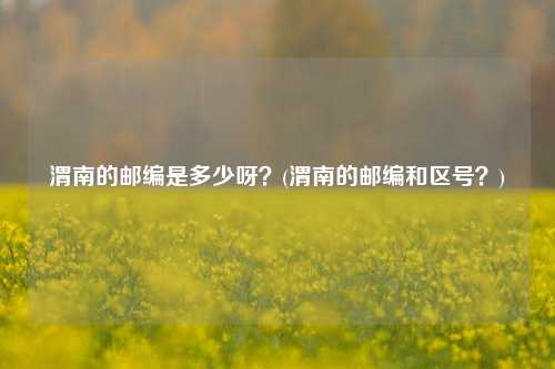 渭南的邮编是多少呀？(渭南的邮编和区号？)