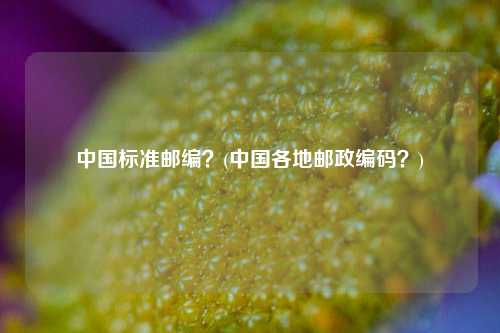 中国标准邮编？(中国各地邮政编码？)