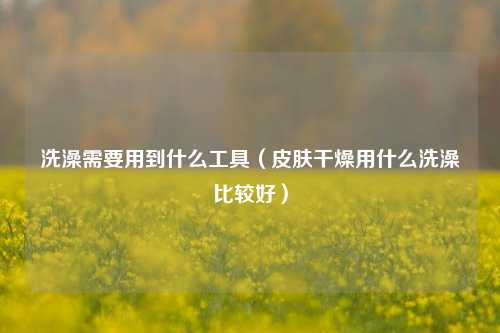 洗澡需要用到什么工具（皮肤干燥用什么洗澡比较好）