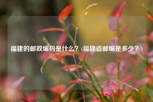 福建的邮政编码是什么？(福建省邮编是多少？)