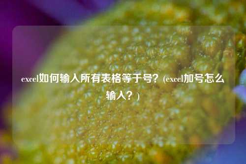 excel如何输入所有表格等于号？(excel加号怎么输入？)