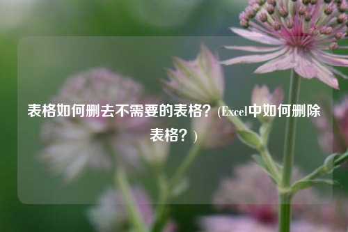 表格如何删去不需要的表格？(Excel中如何删除表格？)