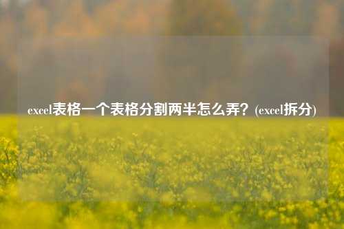 excel表格一个表格分割两半怎么弄？(excel拆分)