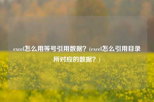 excel怎么用等号引用数据？(excel怎么引用目录所对应的数据？)