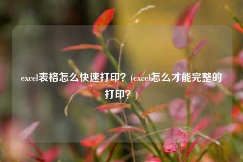 excel表格怎么快速打印？(excel怎么才能完整的打印？)