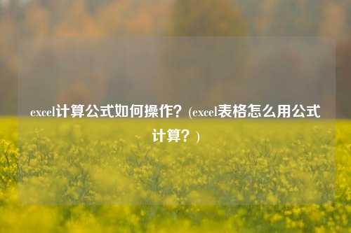 excel计算公式如何操作？(excel表格怎么用公式计算？)