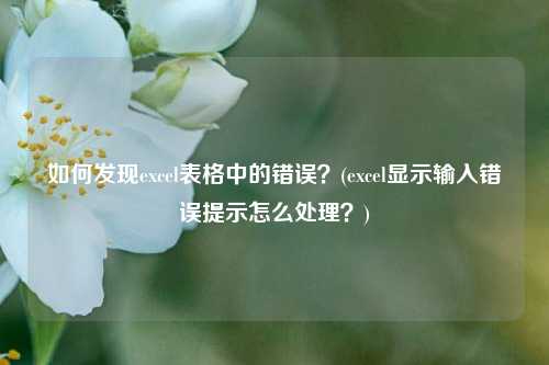 如何发现excel表格中的错误？(excel显示输入错误提示怎么处理？)