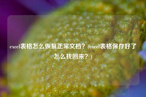 excel表格怎么恢复正常文档？(excel表格保存好了怎么找回来？)