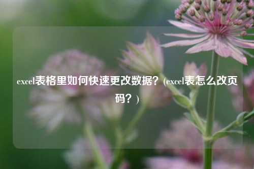 excel表格里如何快速更改数据？(excel表怎么改页码？)