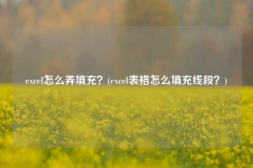 excel怎么弄填充？(excel表格怎么填充线段？)